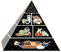 food pyramid
